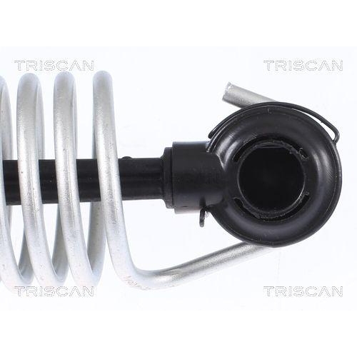 Gasfeder, Koffer-/Laderaum TRISCAN 8710 112015 f&uuml;r BMW, hinten links