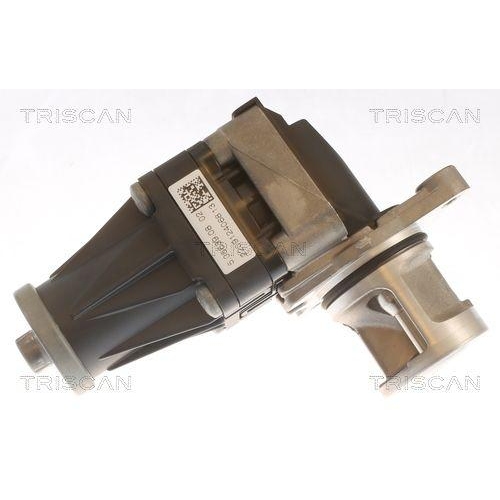 AGR-Ventil TRISCAN 8813 10053 f&uuml;r CITRO&Euml;N FORD PEUGEOT VOLVO HITACHI