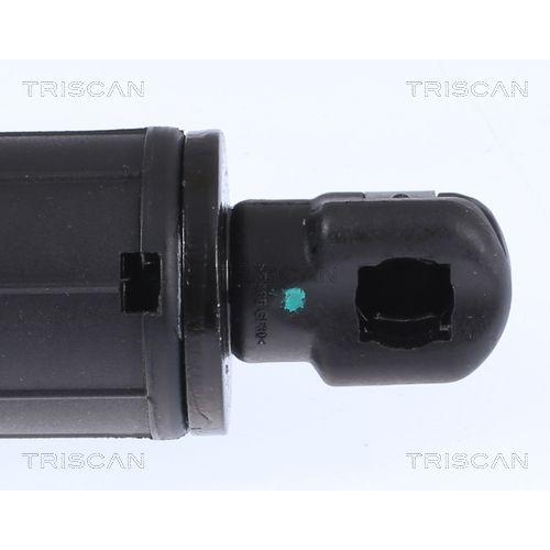 Gasfeder, Koffer-/Laderaum TRISCAN 8710 112016 für BMW, hinten links