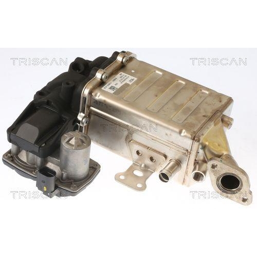 AGR-Ventil TRISCAN 8813 29006 f&uuml;r MAN VW