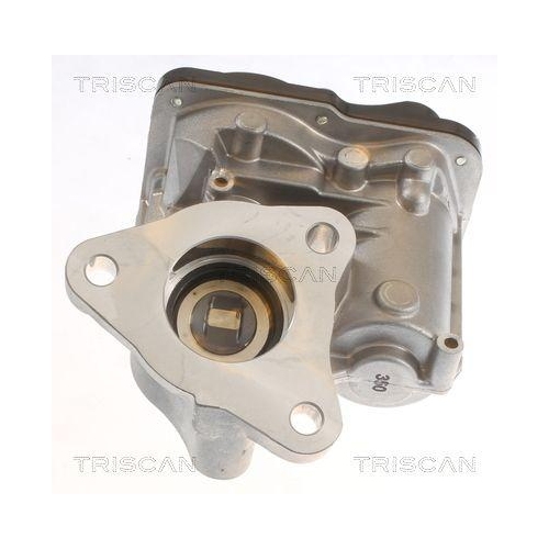 AGR-Ventil TRISCAN 8813 10055 f&uuml;r MERCEDES-BENZ RENAULT DACIA, unten