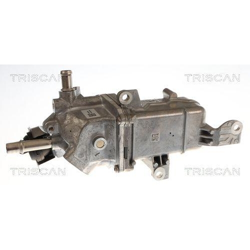 AGR-Ventil TRISCAN 8813 25048 für NISSAN RENAULT