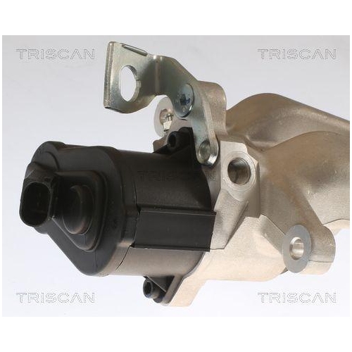 Bremssattel TRISCAN 8175 29241 f&uuml;r VW, Hinterachse links, vor der Achse