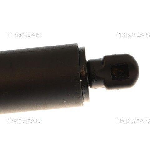 TRISCAN 8710 84301 Gasfeder, Koffer-/Laderaum f&uuml;r BYD, links