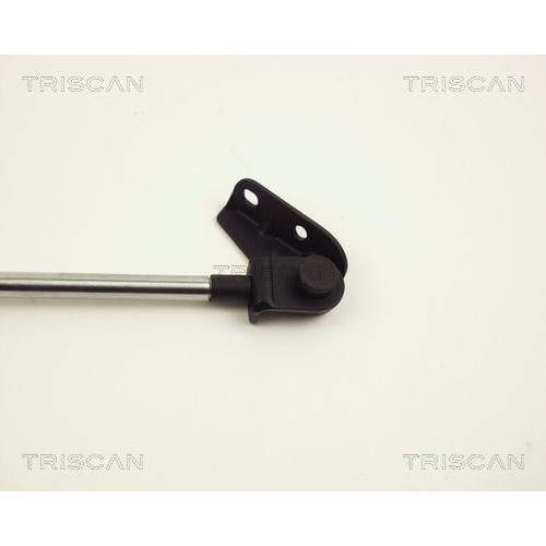 Gasfeder, Koffer-/Laderaum TRISCAN 8710 13213 f&uuml;r TOYOTA, rechts