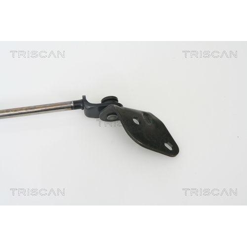 Gasfeder, Koffer-/Laderaum TRISCAN 8710 69213 f&uuml;r SUBARU SUZUKI, rechts