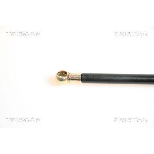 Gasfeder, Koffer-/Laderaum TRISCAN 8710 65208 f&uuml;r SAAB