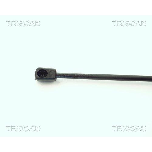 Gasfeder, Koffer-/Laderaum TRISCAN 8710 1621 für FORD