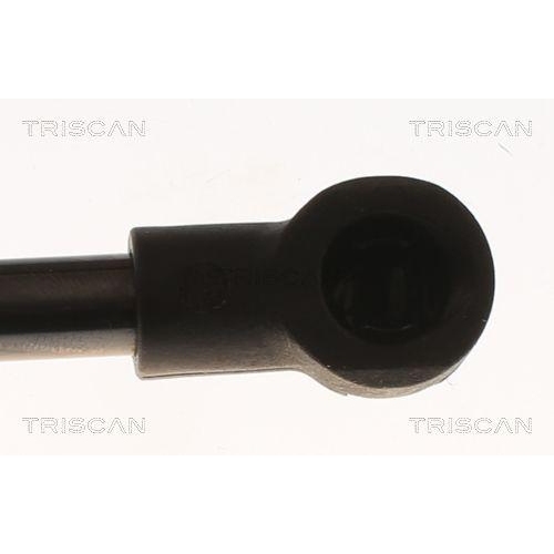 Gasfeder, Koffer-/Laderaum TRISCAN 8710 69221 f&uuml;r BMW SUZUKI, hinten links