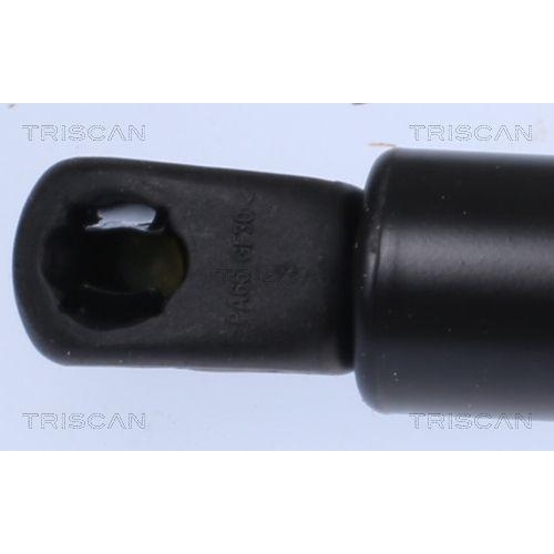Gasfeder, Koffer-/Laderaum TRISCAN 8710 292067 für VW, hinten links