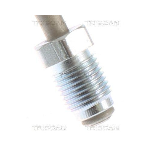 Bremsschlauch TRISCAN 8150 292012 f&uuml;r AUDI SEAT SKODA VW, Hinterachse links