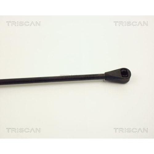 Gasfeder, Koffer-/Laderaum TRISCAN 8710 2504 f&uuml;r RENAULT