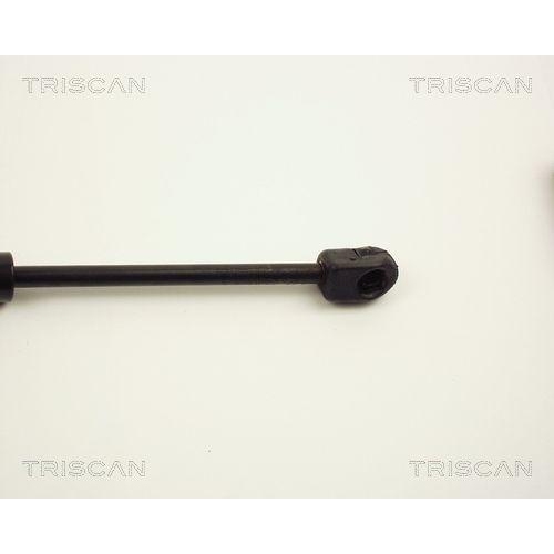 Gasfeder, Koffer-/Laderaum TRISCAN 8710 1007 f&uuml;r AUDI