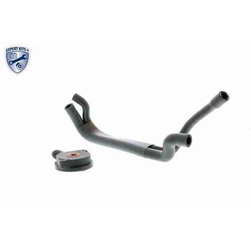 Reparatursatz, Kurbelgeh&auml;useentl&uuml;ftung VAICO V20-1920 EXPERT KITS + f&uuml;r BMW FORD