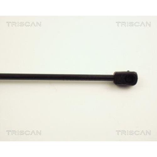 Gasfeder, Koffer-/Laderaum TRISCAN 8710 25201 für RENAULT