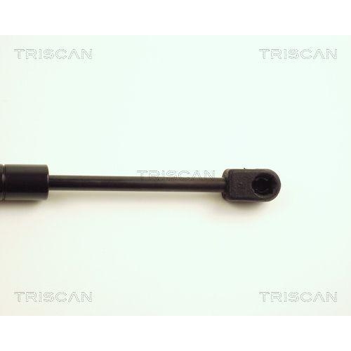 Gasfeder, Koffer-/Laderaum TRISCAN 8710 25205 f&uuml;r