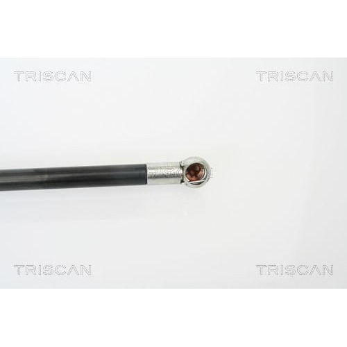 Gasfeder, Koffer-/Laderaum TRISCAN 8710 18216 f&uuml;r KIA, links