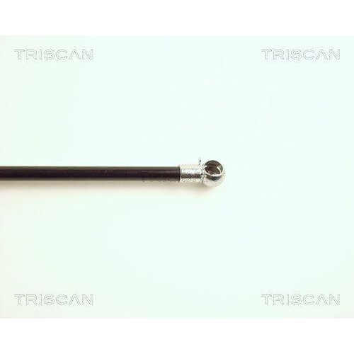 Gasfeder, Koffer-/Laderaum TRISCAN 8710 25209 für RENAULT DACIA, hinten links