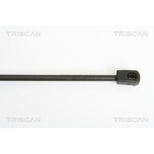 Gasfeder, Koffer-/Laderaum TRISCAN 8710 18219 f&uuml;r KIA, hinten links