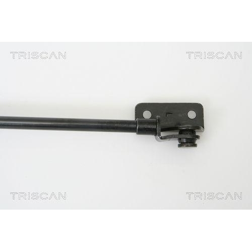 Gasfeder, Koffer-/Laderaum TRISCAN 8710 42232 f&uuml;r MITSUBISHI, links