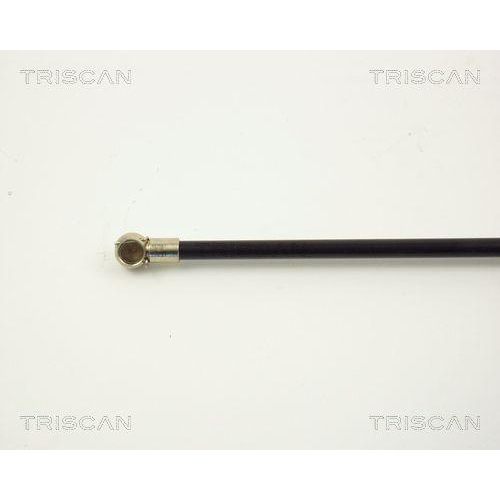 Gasfeder, Koffer-/Laderaum TRISCAN 8710 2903 f&uuml;r VW