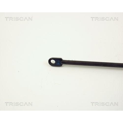 Gasfeder, Koffer-/Laderaum TRISCAN 8710 2908 f&uuml;r VW