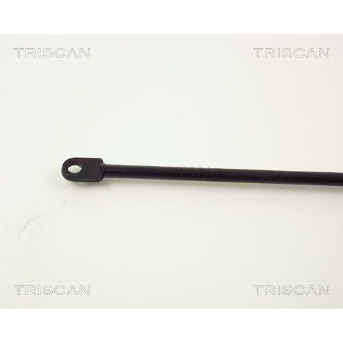 Gasfeder, Koffer-/Laderaum TRISCAN 8710 1107 für BMW