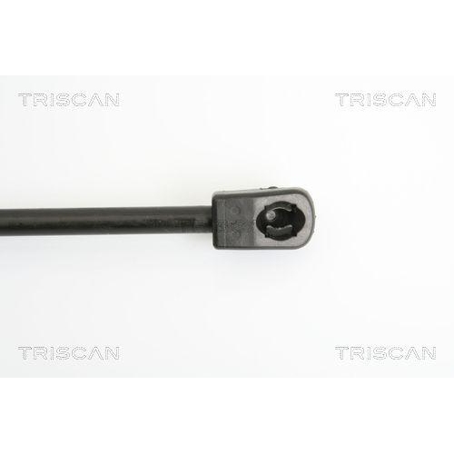 Gasfeder, Koffer-/Laderaum TRISCAN 8710 42236 f&uuml;r MITSUBISHI LEXUS, hinten links