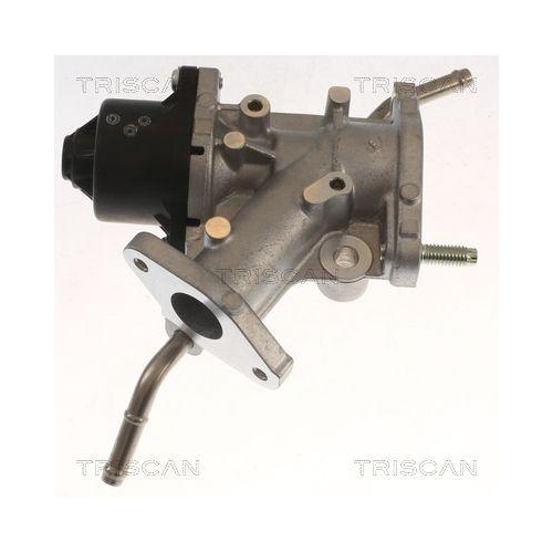 AGR-Ventil TRISCAN 8813 13068 f&uuml;r TOYOTA