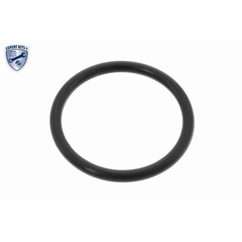 Hydraulikfiltersatz, Automatikgetriebe VAICO V38-0515 EXPERT KITS + f&uuml;r NISSAN