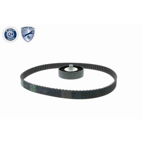 ACKOJA A53-0202 Keilrippenriemensatz EXPERT KITS + f&uuml;r HYUNDAI KIA