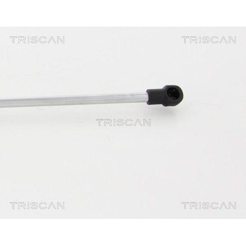 Gasfeder, Koffer-/Laderaum TRISCAN 8710 23233 für SMART, hinten links