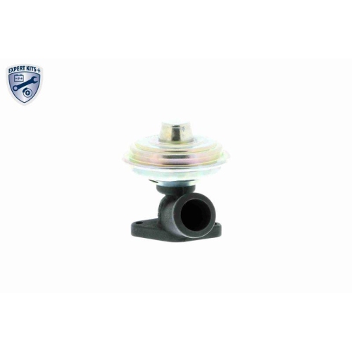 AGR-Ventil VEMO V22-63-0016 EXPERT KITS + f&uuml;r ALFA ROMEO CITRO&Euml;N FIAT LANCIA