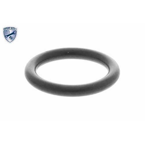 Sensor, Nockenwellenposition VEMO V20-72-0504 EXPERT KITS + für BMW