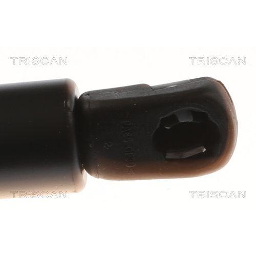 Gasfeder, Koffer-/Laderaum TRISCAN 8710 16245 f&uuml;r FORD, hinten links
