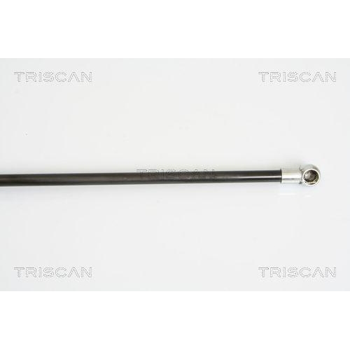 Gasfeder, Koffer-/Laderaum TRISCAN 8710 16246 für FORD, hinten links