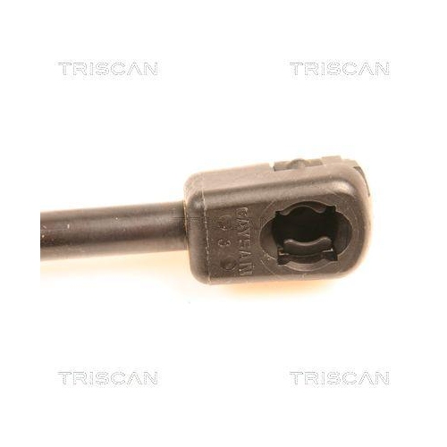 Gasfeder, Koffer-/Laderaum TRISCAN 8710 29251 f&uuml;r AUDI