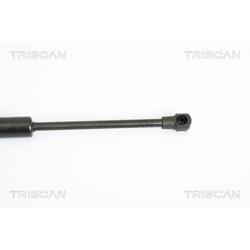 Gasfeder, Motorhaube TRISCAN 8710 29128 f&uuml;r AUDI, vorne links, vorne rechts