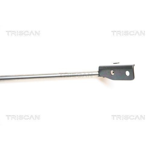 Gasfeder, Koffer-/Laderaum TRISCAN 8710 69211 f&uuml;r SUZUKI, links