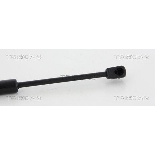 Gasfeder, Motorhaube TRISCAN 8710 29134 f&uuml;r AUDI, vorne links, vorne rechts
