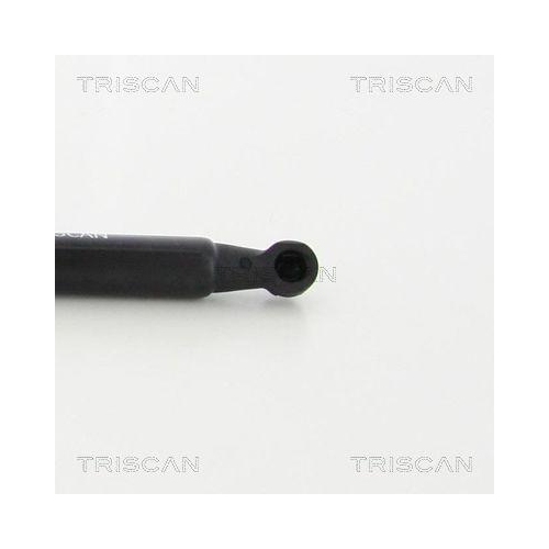 Gasfeder, Motorhaube TRISCAN 8710 29137 f&uuml;r AUDI, vorne links, vorne rechts