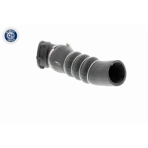 Ladeluftschlauch VAICO V20-1626 Q+, Erstausr&uuml;sterqualit&auml;t f&uuml;r BMW