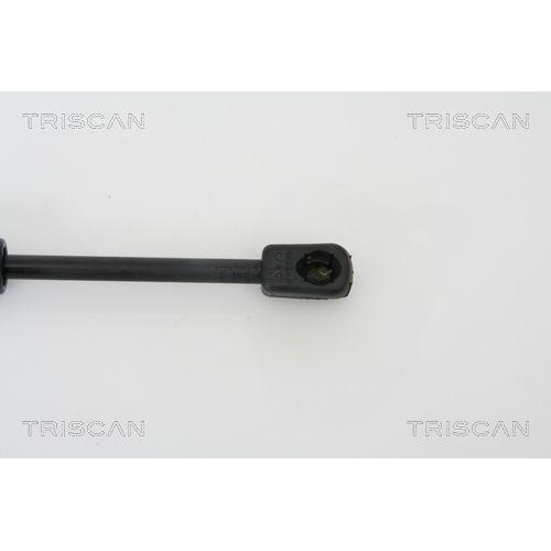 Gasfeder, Koffer-/Laderaum TRISCAN 8710 29260 für AUDI SEAT, hinten links