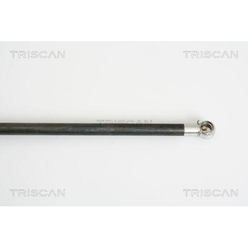Gasfeder, Koffer-/Laderaum TRISCAN 8710 38225 für CITROËN, hinten links