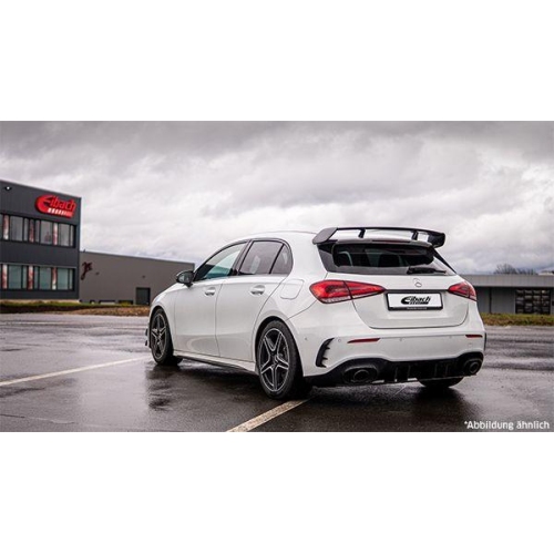 Fahrwerkssatz, Federn EIBACH E10-25-043-06-22 Pro-Kit f&uuml;r, Hinterachse