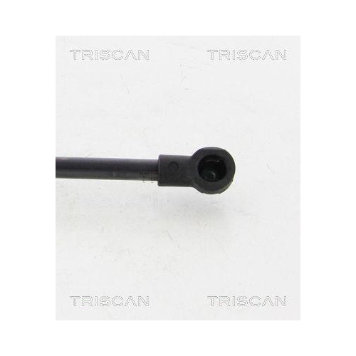 Gasfeder, Koffer-/Laderaum TRISCAN 8710 38231 f&uuml;r CITRO&Euml;N, hinten links