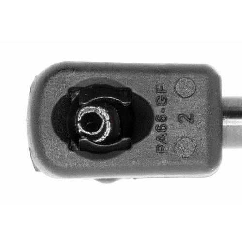 Gasfeder, Koffer-/Laderaum VAICO V10-1960 Original VAICO Qualität für AUDI SEAT