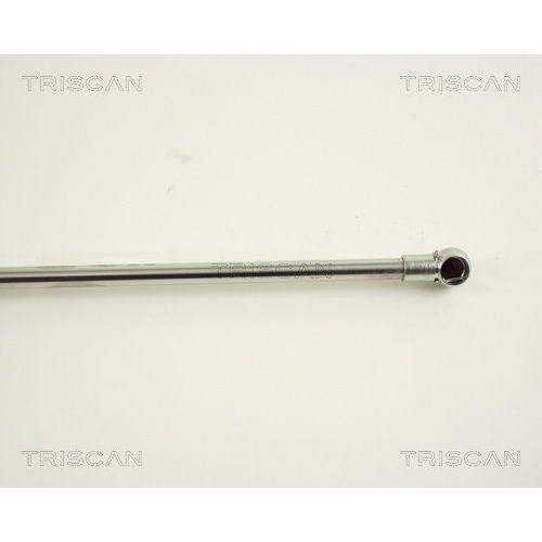 Gasfeder, Motorhaube TRISCAN 8710 38102 f&uuml;r CITRO&Euml;N