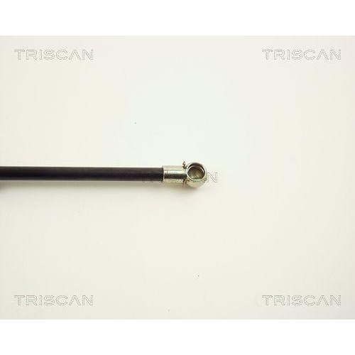 Gasfeder, Koffer-/Laderaum TRISCAN 8710 1010 für AUDI