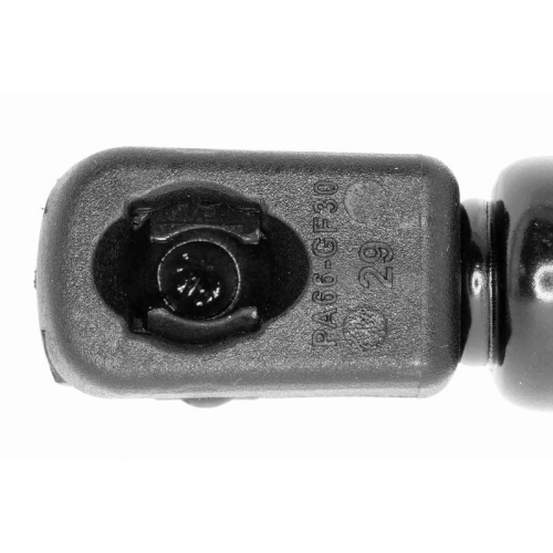 Gasfeder, Koffer-/Laderaum VAICO V10-1963 Original VAICO Qualität für AUDI SEAT